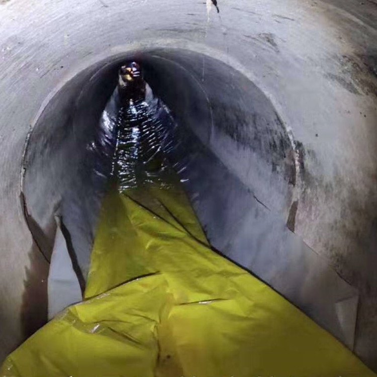 泸水管道光固化修复